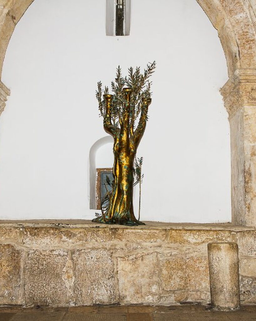 olive tree the room of the last-supper cenacle