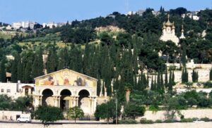 Mount of Olives All Nations