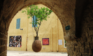 Suspended Orange Tree Jaffa