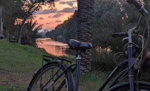 Park Yaron Cycling