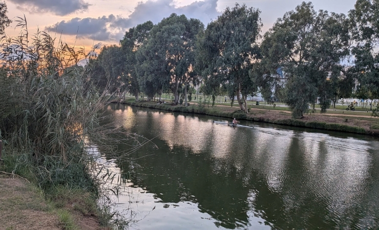 Park Yaron Rowing